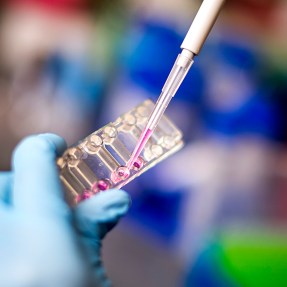 Person performing research in a lab with gloved hands.