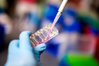 Person performing research in a lab with gloved hands.