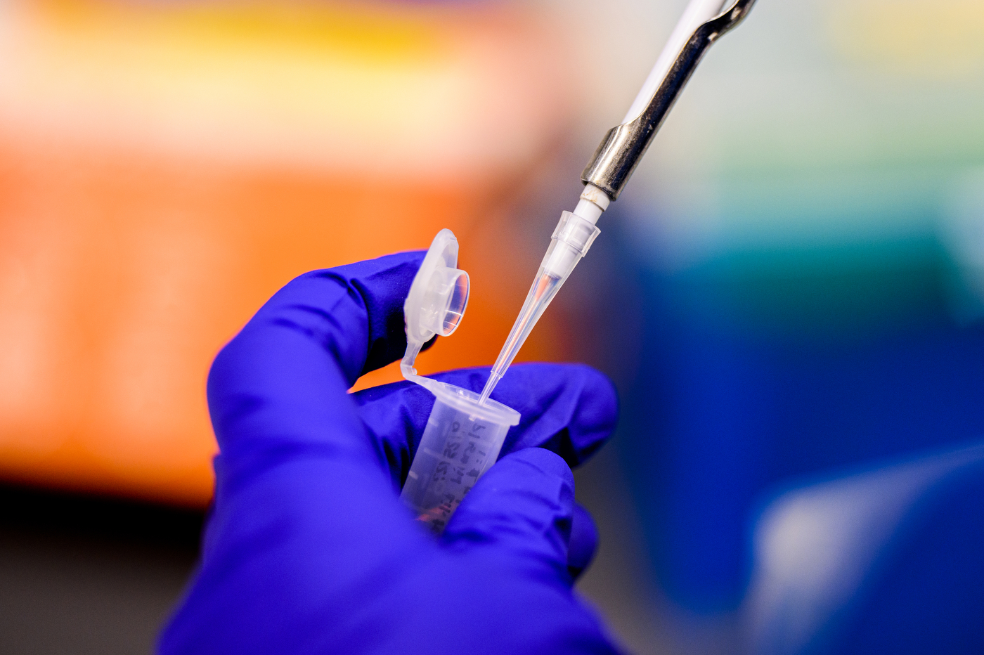 A hand wearing a blue glove holds a test tube.