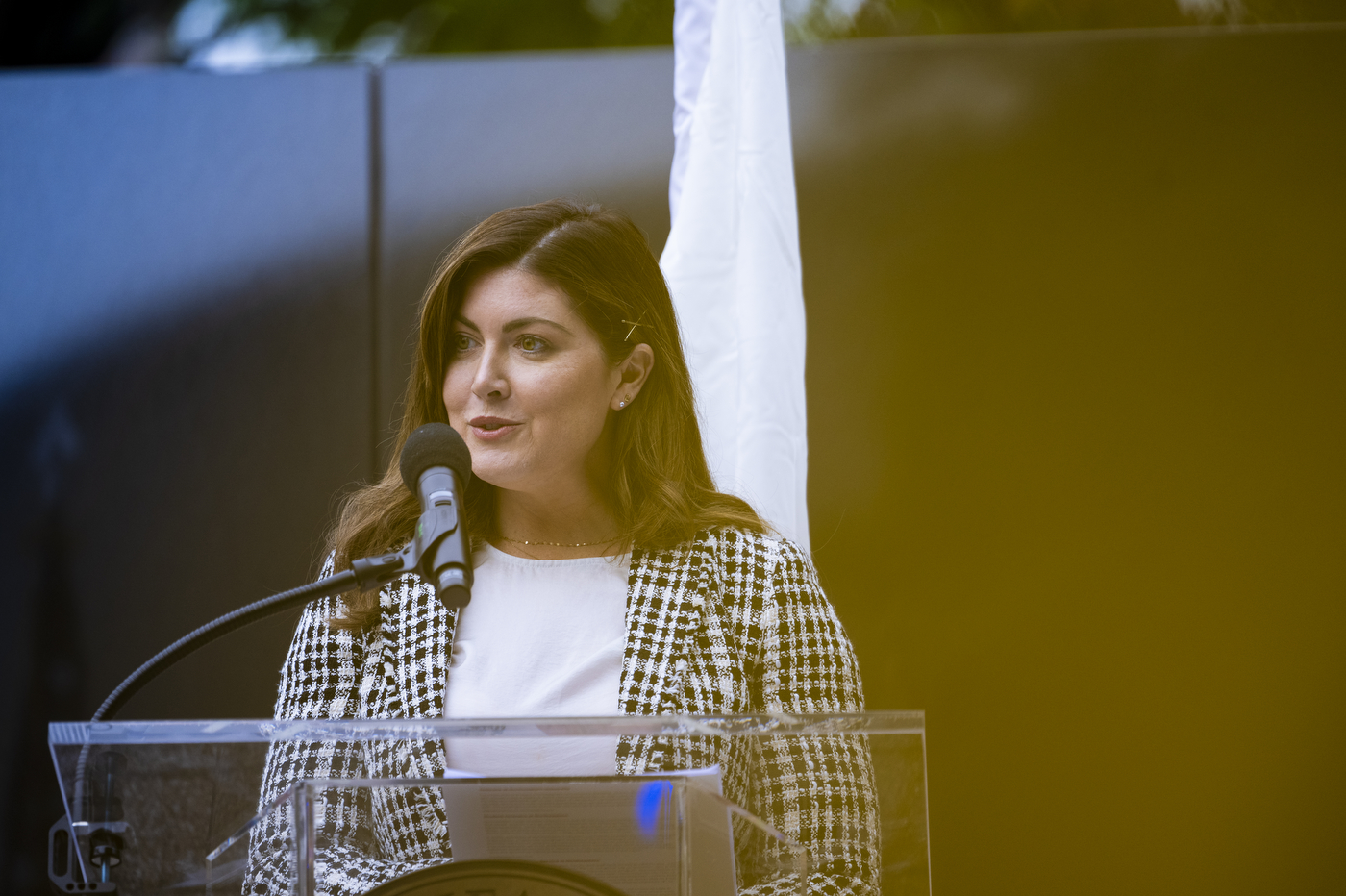 Person speaking at the Northeastern Veterans Day ceremony 2023.