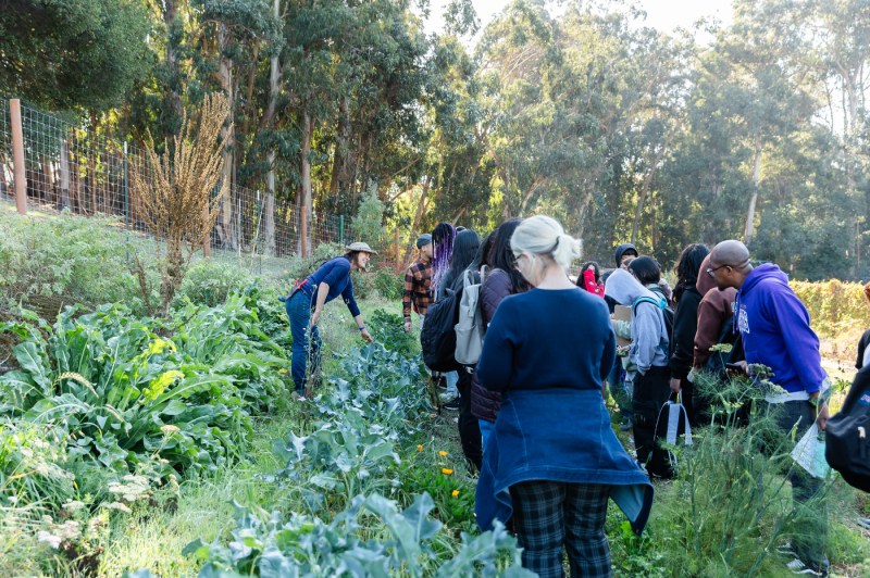 Mills Community Farm Manager Julia Dashe pointing to a plant in front of a group of students. 