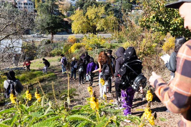 Students walking down a hill in Mills Community Farm. 