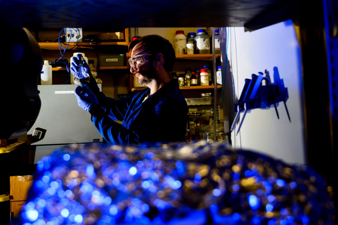 Aron Stubbins looking at microplastics in the lab.