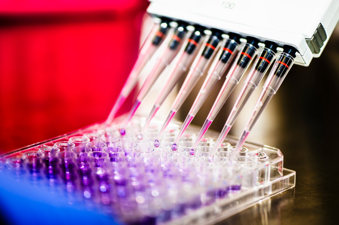 Stephen Hatfield's lab equipment.