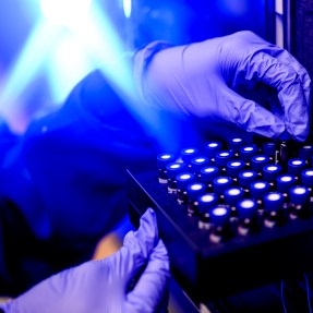 Hands wearing purple-colored gloves place a vial into a container in a blue-lit room.