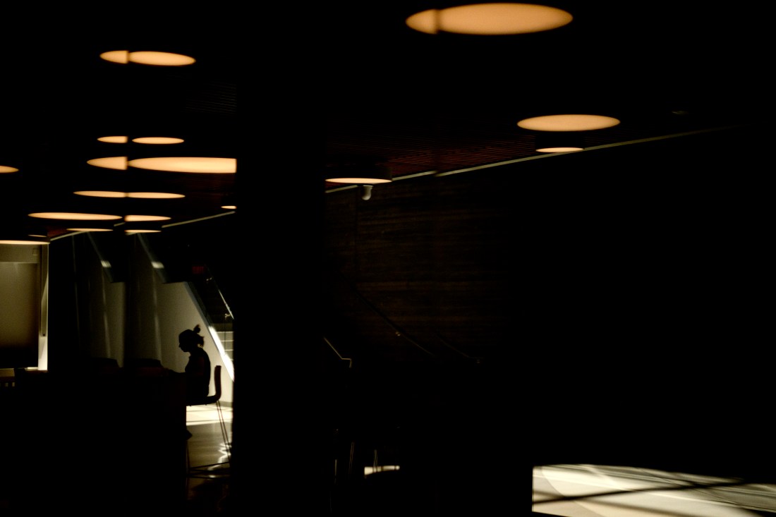 Silhouette of a Northeastern community member working at their laptop. 