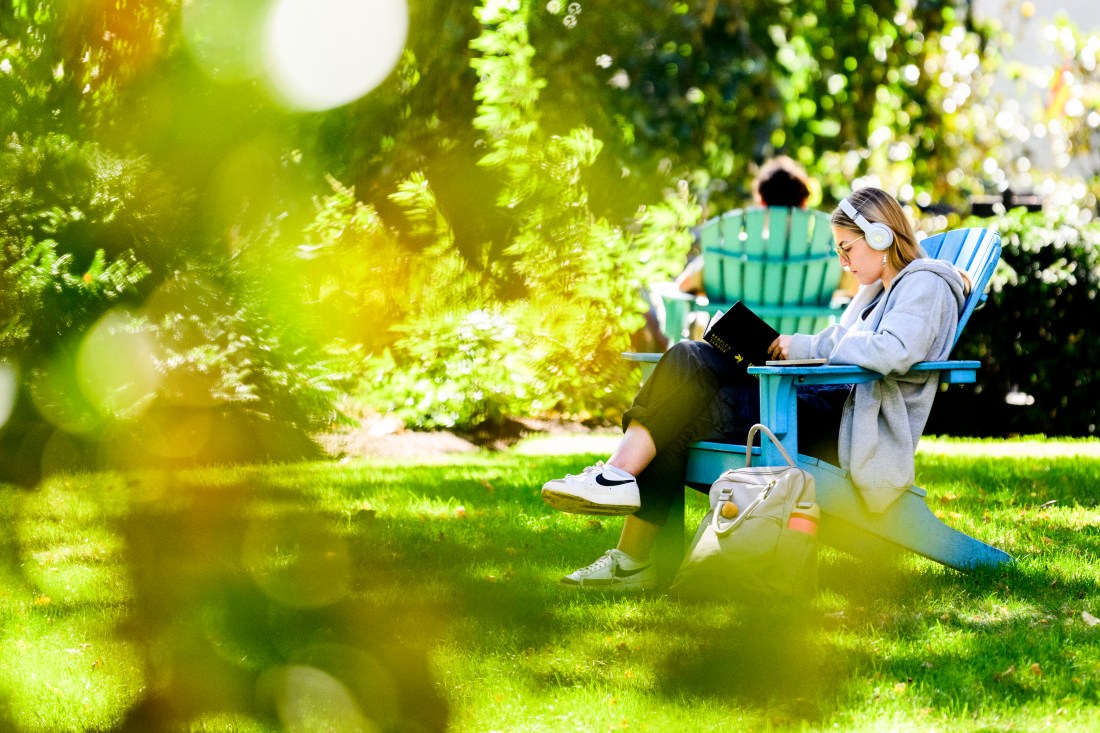 Northeastern community member sitting in a blue adirondack chair outside.