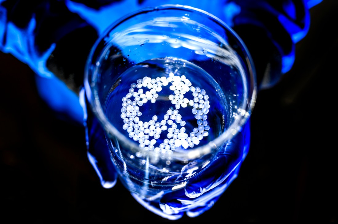 Lab samples under blue lighting.