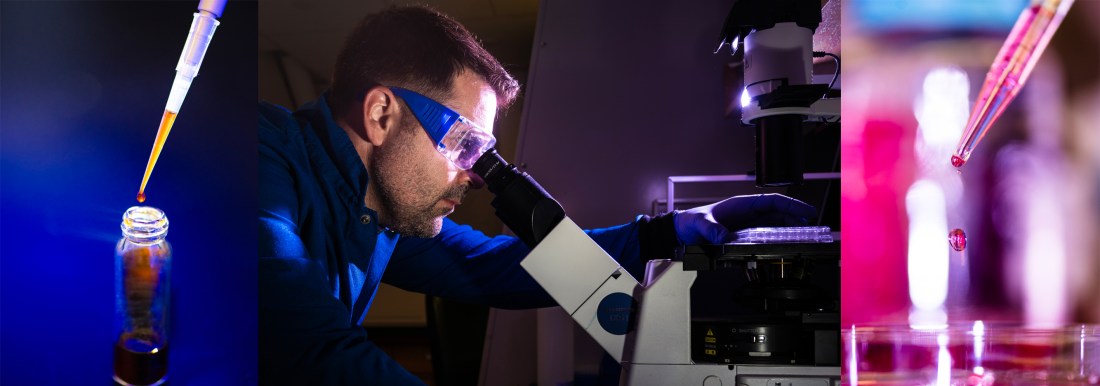Northeastern community member working with samples in the lab.