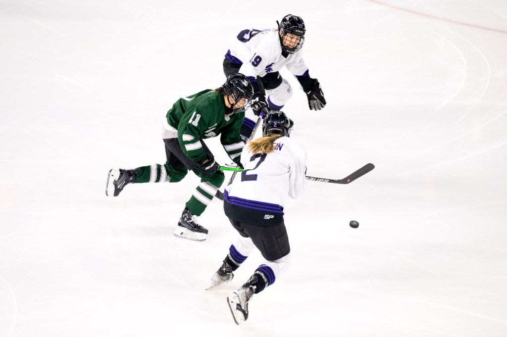 Three hockey players chase after a puck inside a hockey arena.