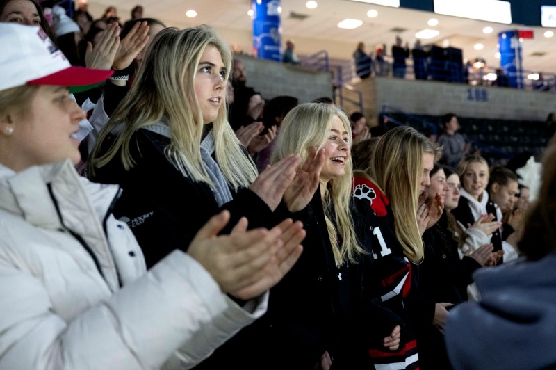 Audience members at the PWHL clapping and cheering.