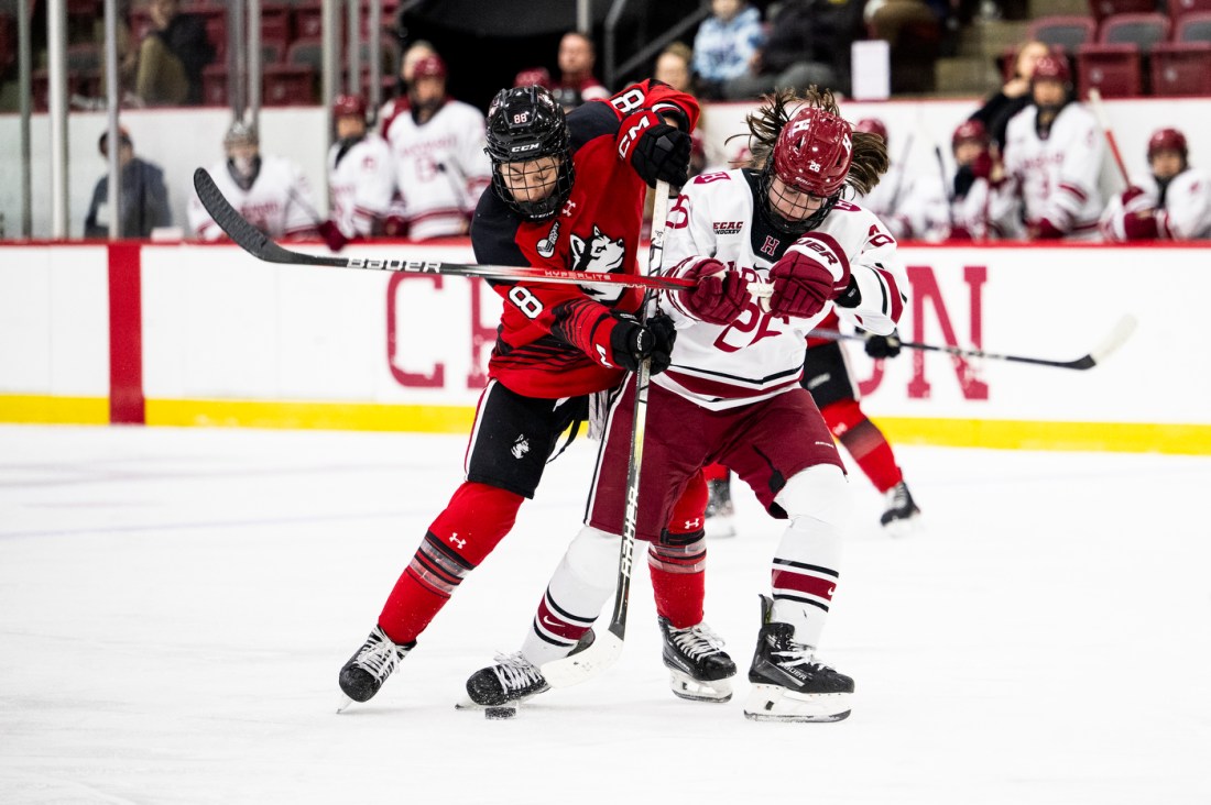 Two hockey players crisscross their hockey sticks as they inch close to the puck on the ice.