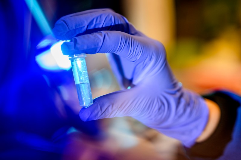 Wei Xie holding a lab sample.