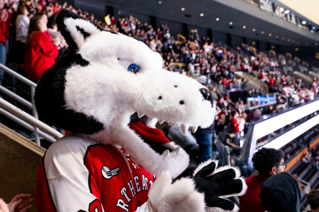 Paws mascot watching the game.