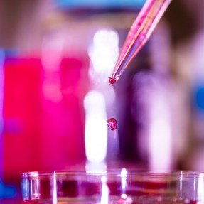 A pipette dropping liquid into a dish.