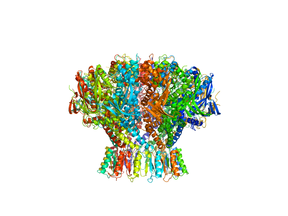 A colorful collection of spiral shapes weave together to form a "nanopore."