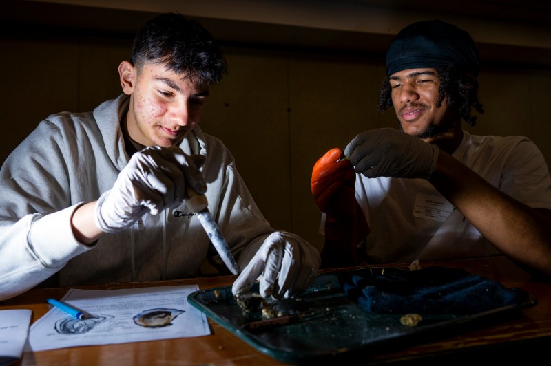 Students dissecting an oyster.