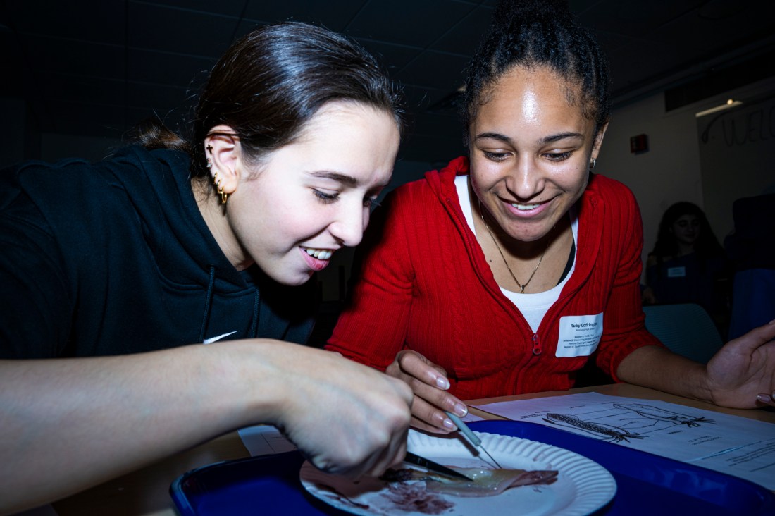 Students dissecting an oyster.