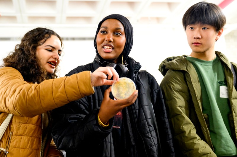 Students talking and looking at a petri dish.