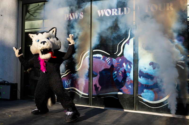 Paws striking a pose on stage while wearing a pink feather boa.