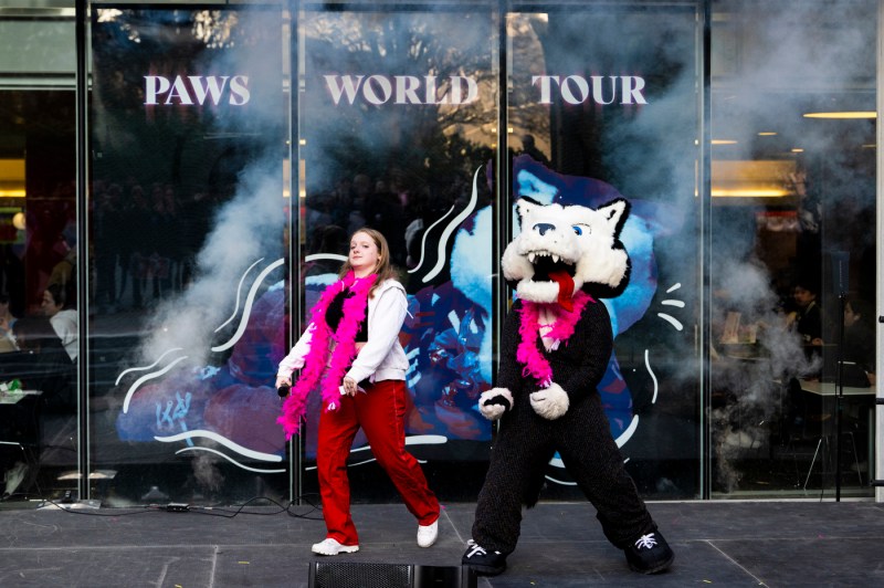 Paws mascot and an MC both wearing a pink feather boa on stage. 