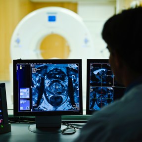 Silhouette of staff member looking at an image of a prostate on a monitor.