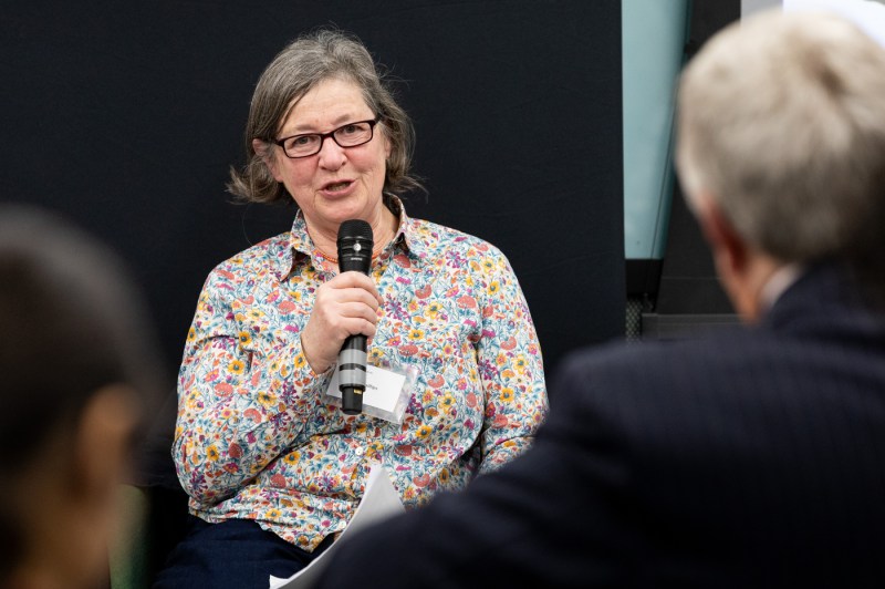 A panelist speaking about law and AI.