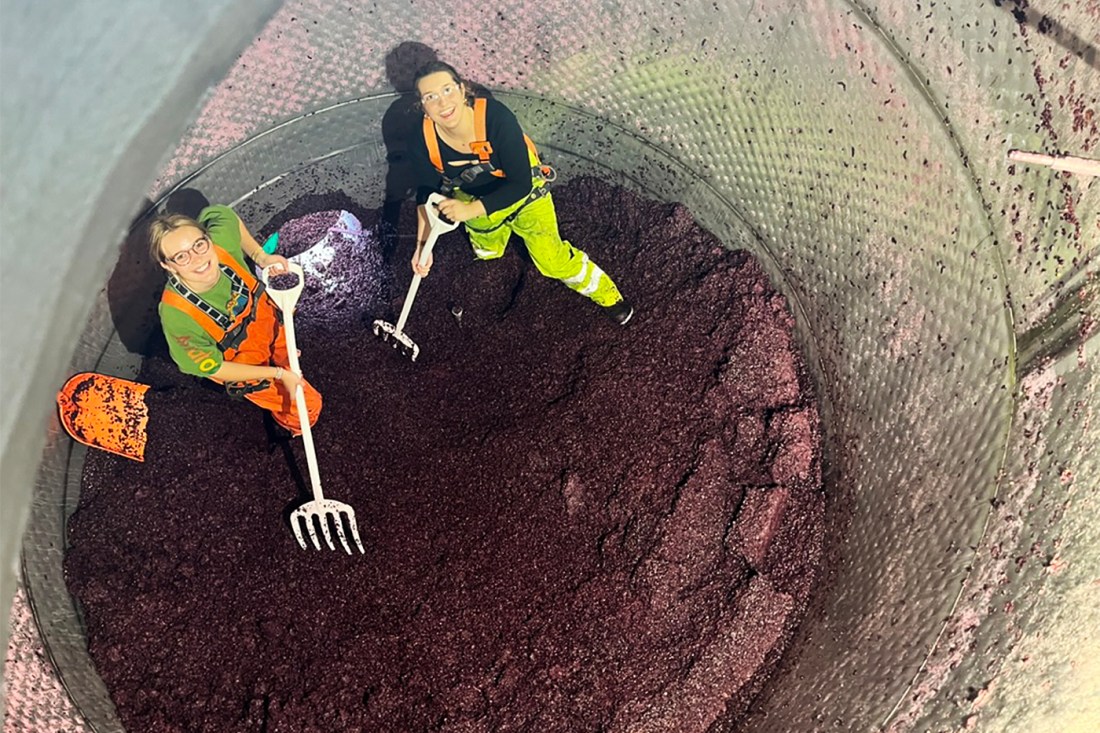 Grace Arents with a pitchfork crushing grapes.