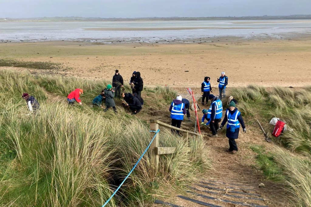 A group of people working outside on he grass hills near the sea in Ireland.