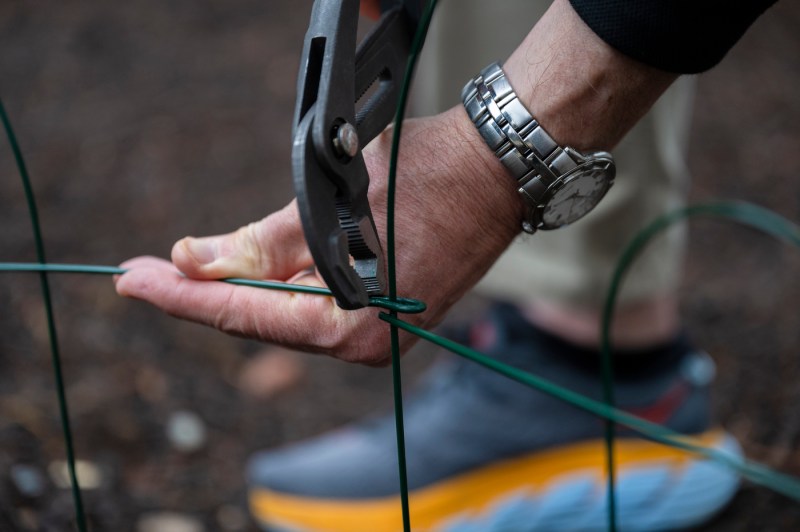 Thomas Griffin installing a wire fence around a new tree.