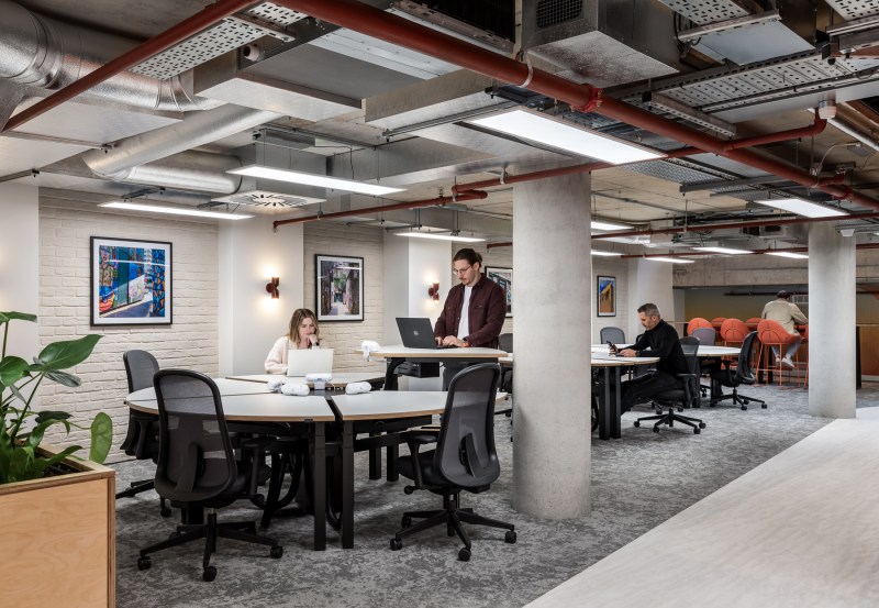 People working in a modern-looking office with a painted brick wall and green plant.