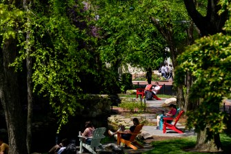 Multiple people sit in colorful armchairs surrounded by trees near a koi pond.