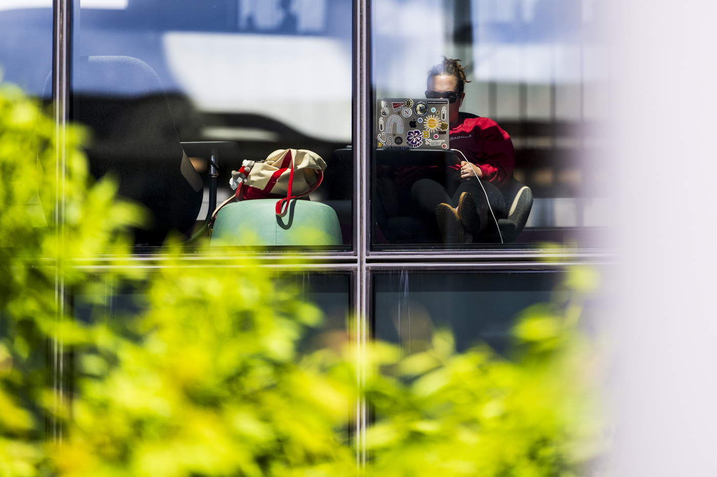 A person sitting in front of a window, studying. 