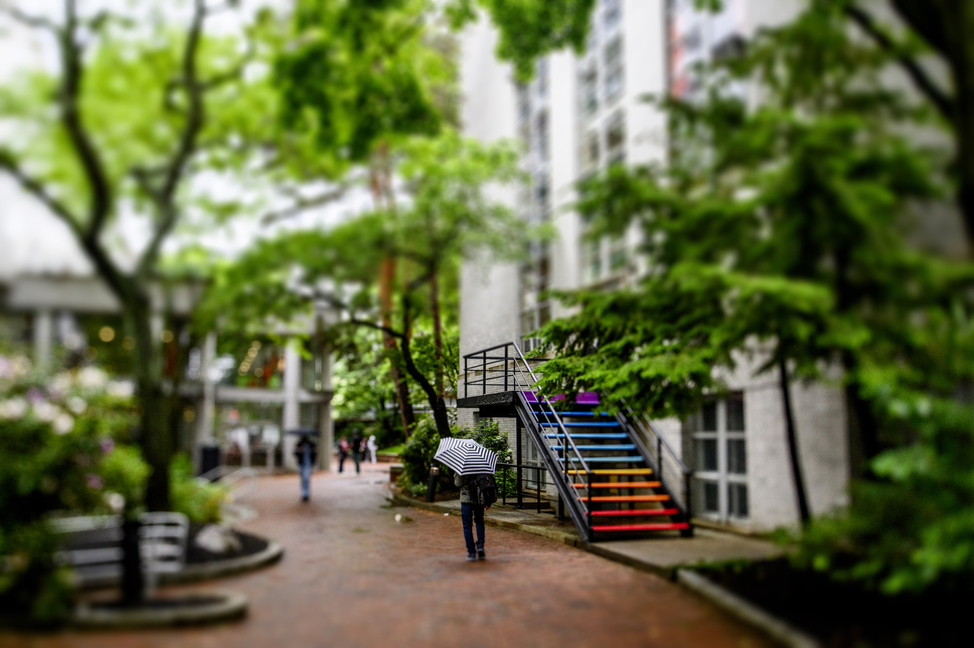 People walking outside through a row of trees.