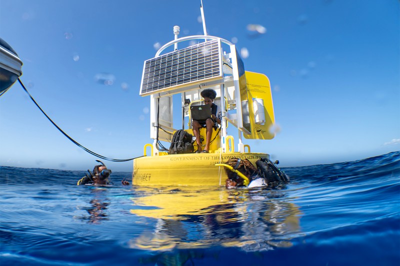 One person working on a laptop on top of the CETI Core Whale Listening station while two others wearing scuba gear swim in the water next to it. 
