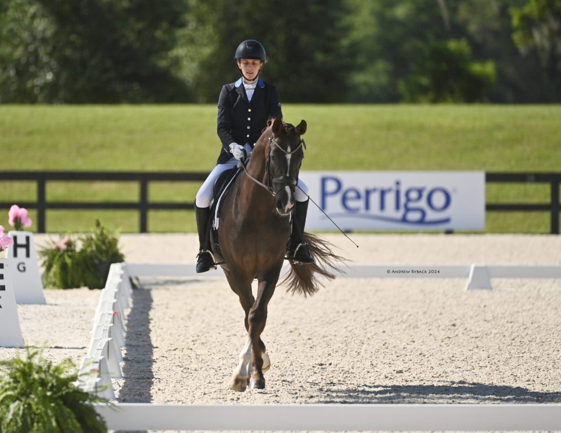 A front view of Fiona Howard riding dressage on her horse.