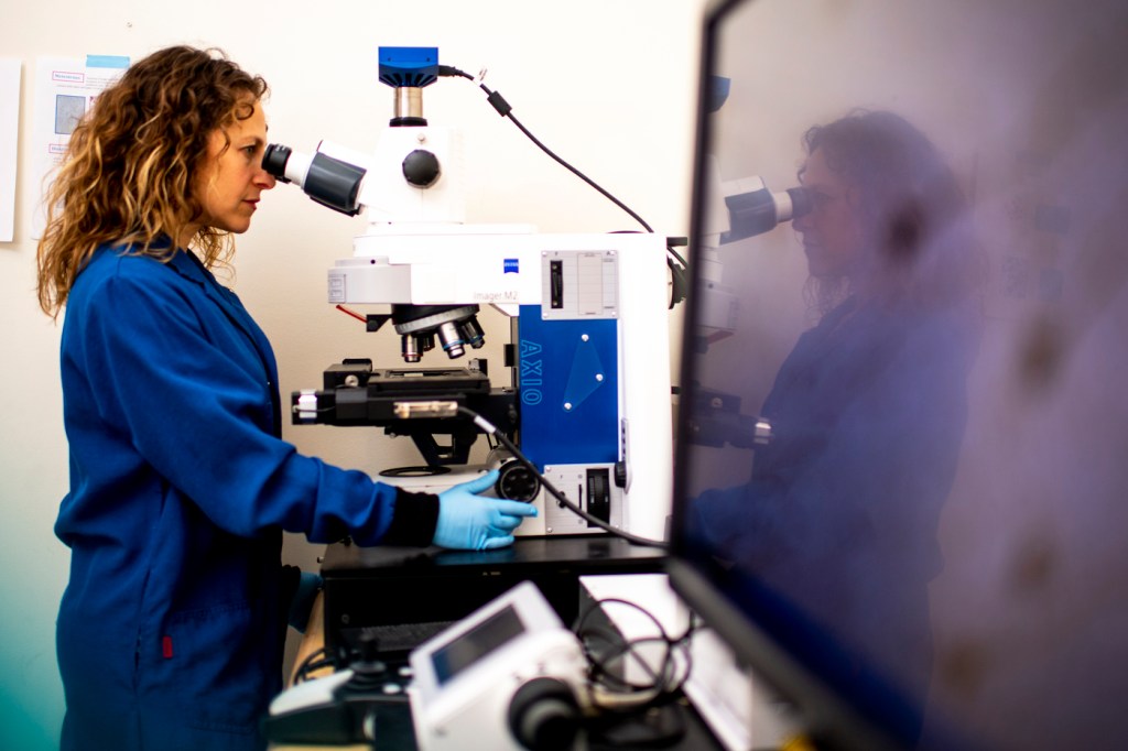 Heather Brenhouse looking through a microscope.