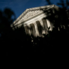 The Supreme Court Building in Washington DC partially blocked by the shadow of a plant.