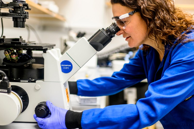 Rebecca Carrier looking through a microscope.