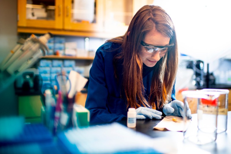 Heather Brenhouse working in a lab.