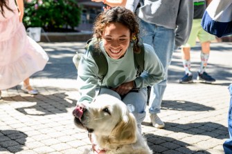 A person pets a white dog outside on a sunny day.