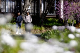 Two people walk through a garden on a sunny day.