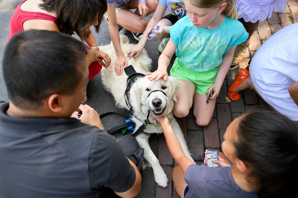 Children pet a dog outside on a sunny day.