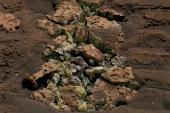 Rocks on Mars.