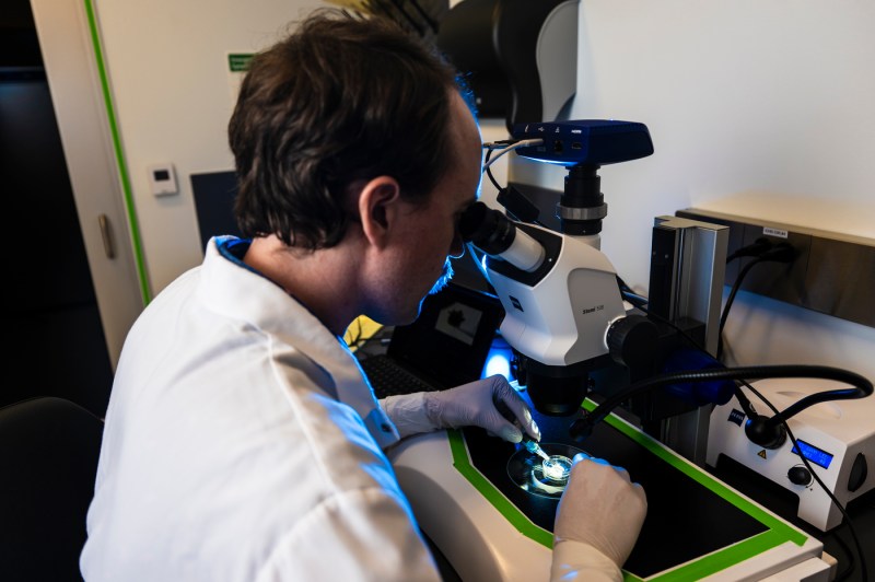 Christopher Zinck looking through a microscope in the lab.