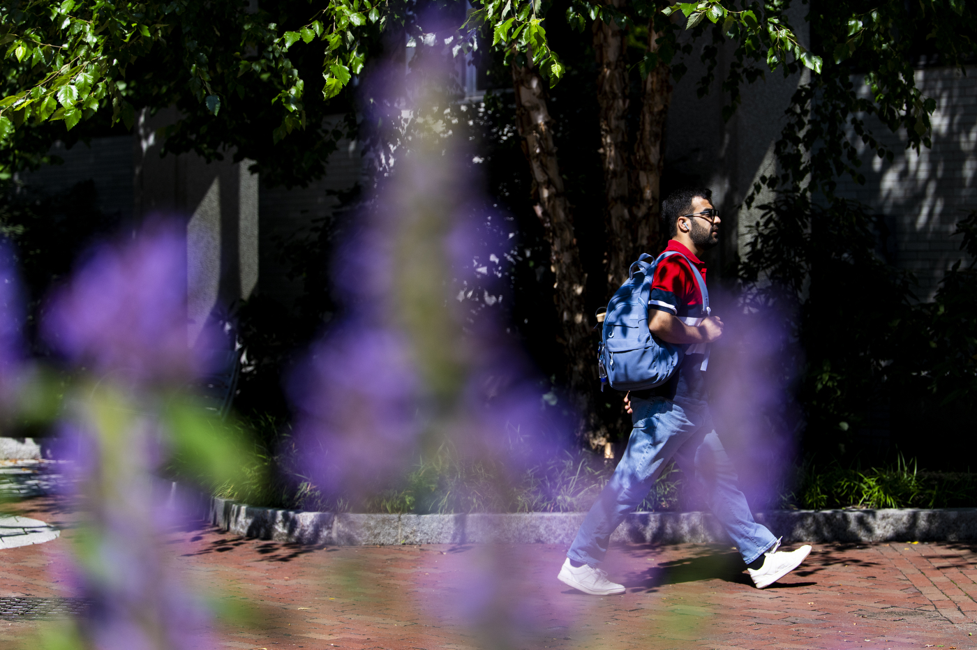 A person framed by purple flowers walks along a brick path.