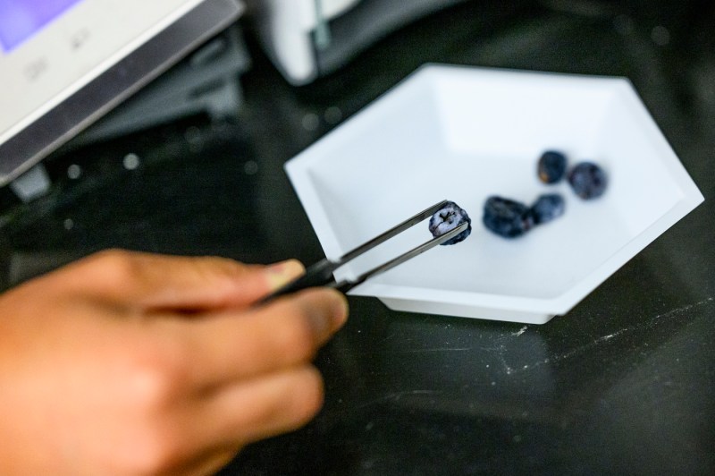 Gabriela Garcia working in a lab.