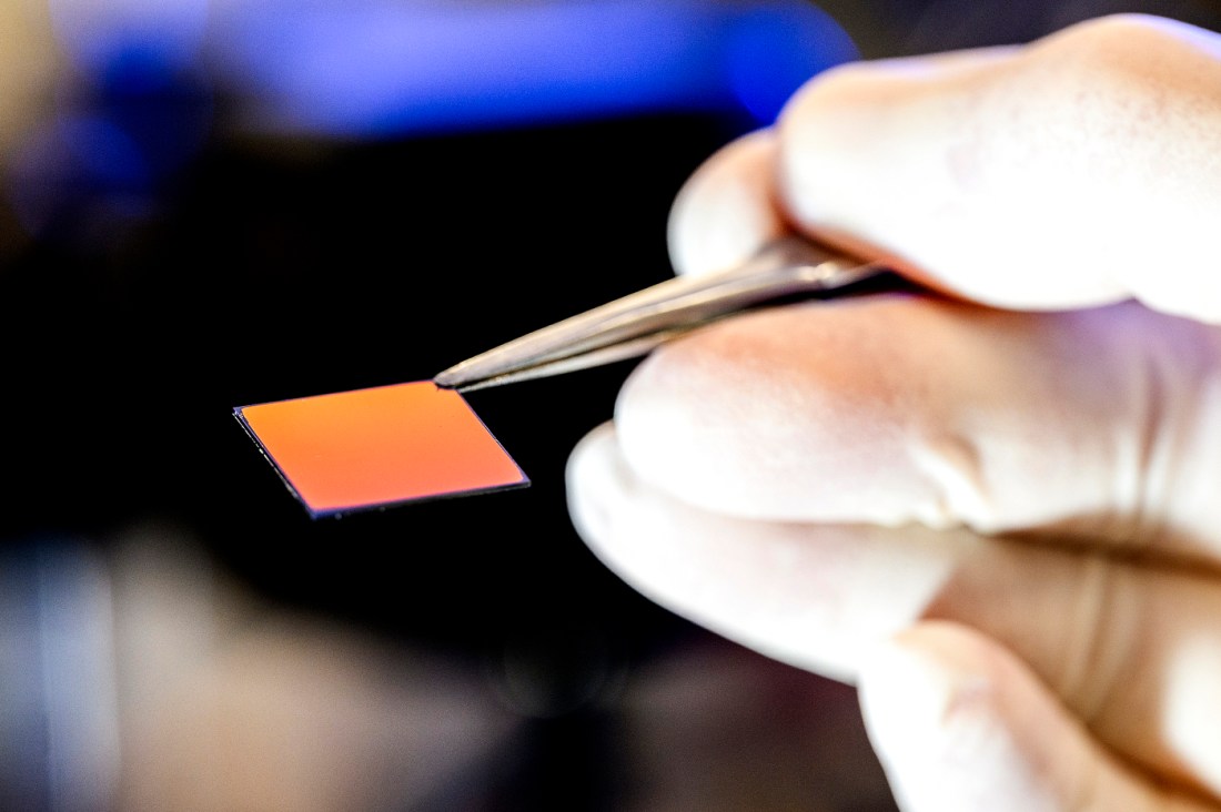 A gloved hand holding tweezers to hold a microchip.