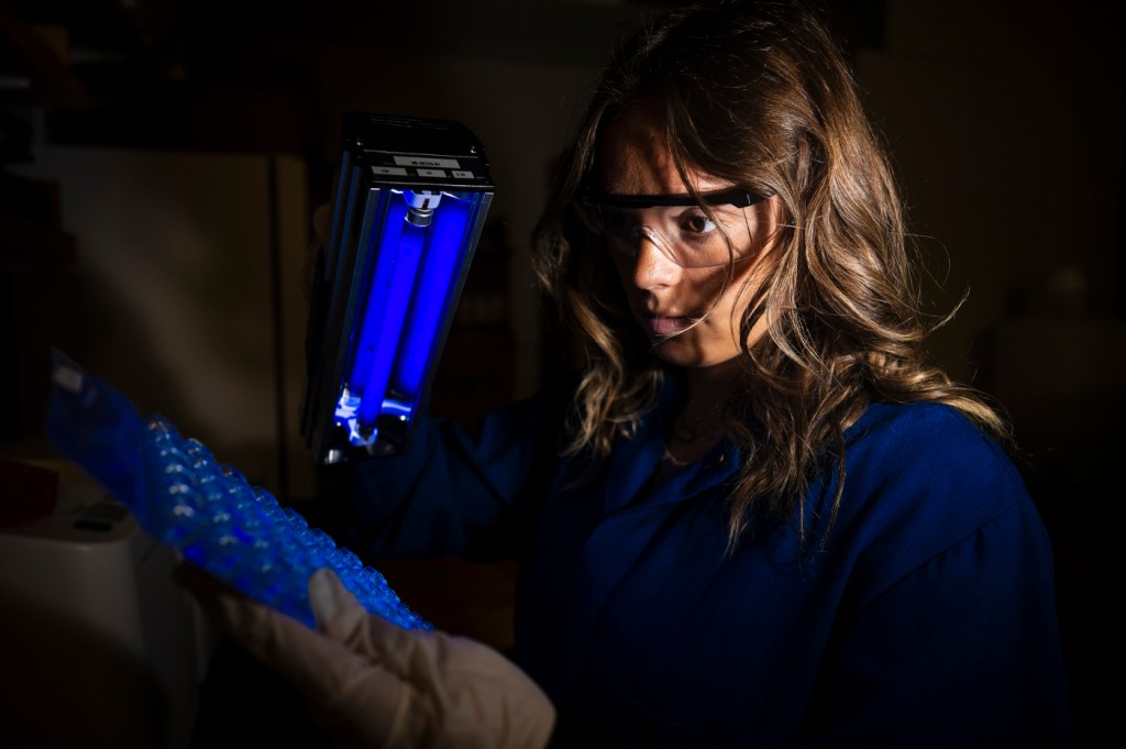 Kyla Drewry working in a lab.