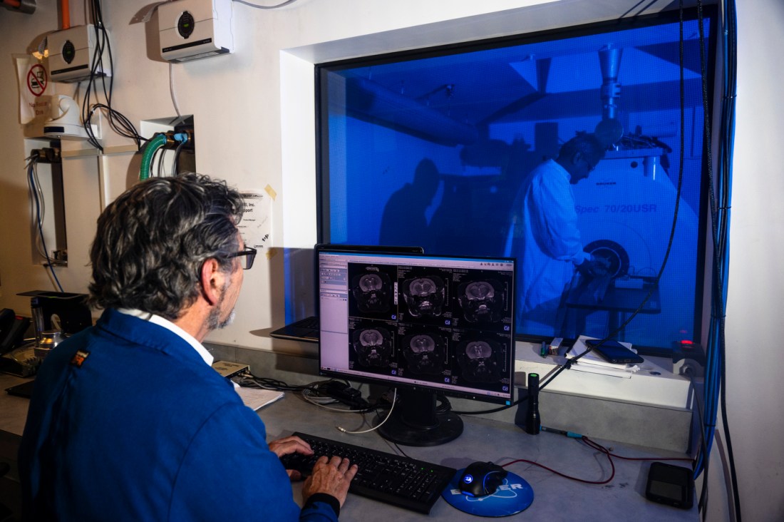 Craig Ferris looking at MRI scan images of the brain on a laptop while through a glass window inside the lab, a person operates the MRI machine.